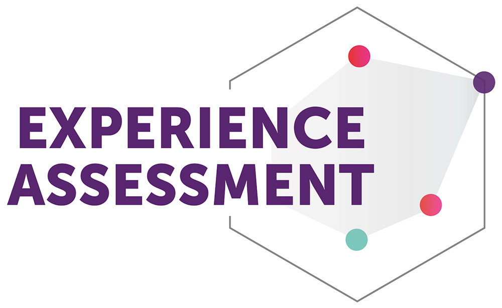 The words Experience Assessment, next to a hexagonal radar chart with coloured points on it
