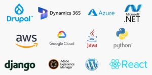 Icons for Drupal, .Net, Dynamics, Cloud-based solutions (like AWS, Azure and GCP), Java software development, Python software development, Django, Adobe Experience Manager (AME), WordPress, ReactJS